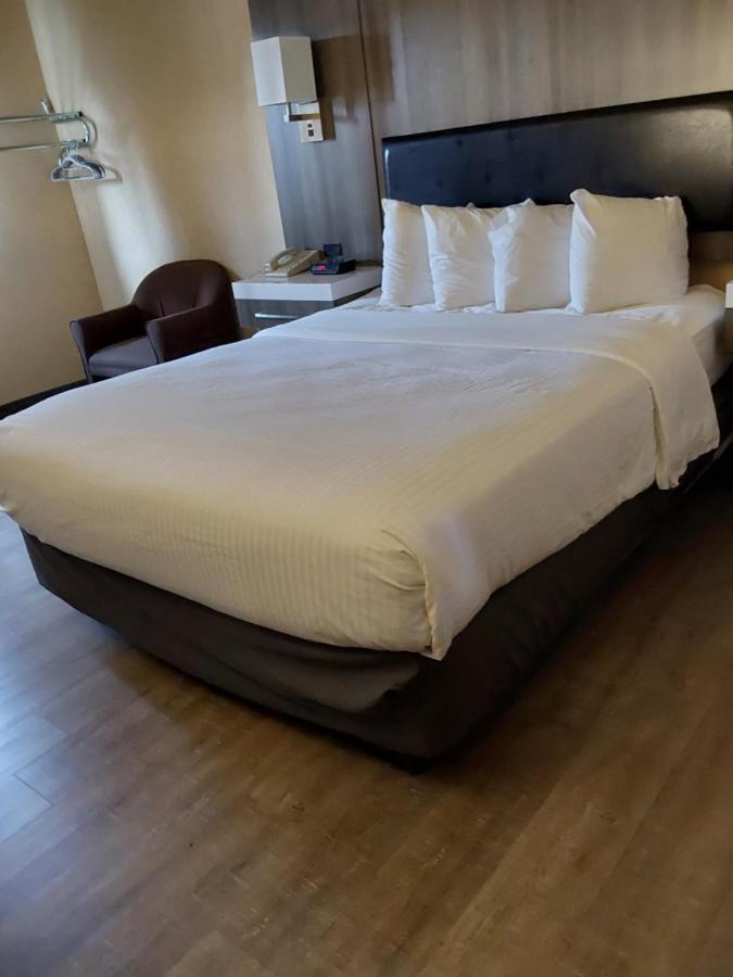 Lavissh Inn And Suites Bellingham Zewnętrze zdjęcie