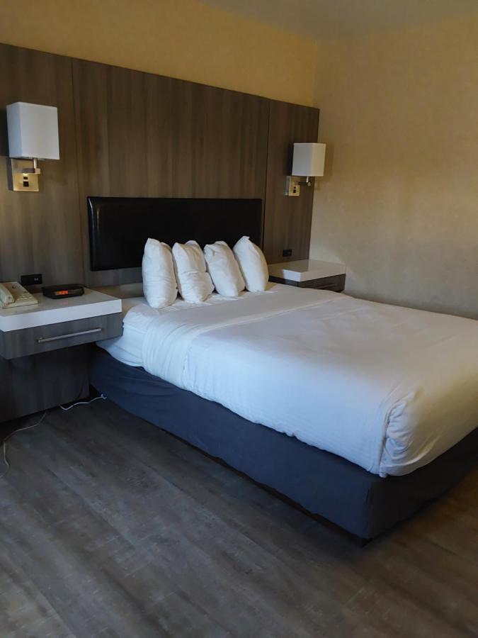Lavissh Inn And Suites Bellingham Zewnętrze zdjęcie