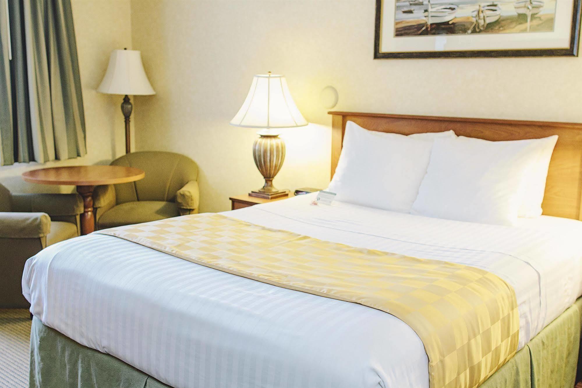 Lavissh Inn And Suites Bellingham Zewnętrze zdjęcie